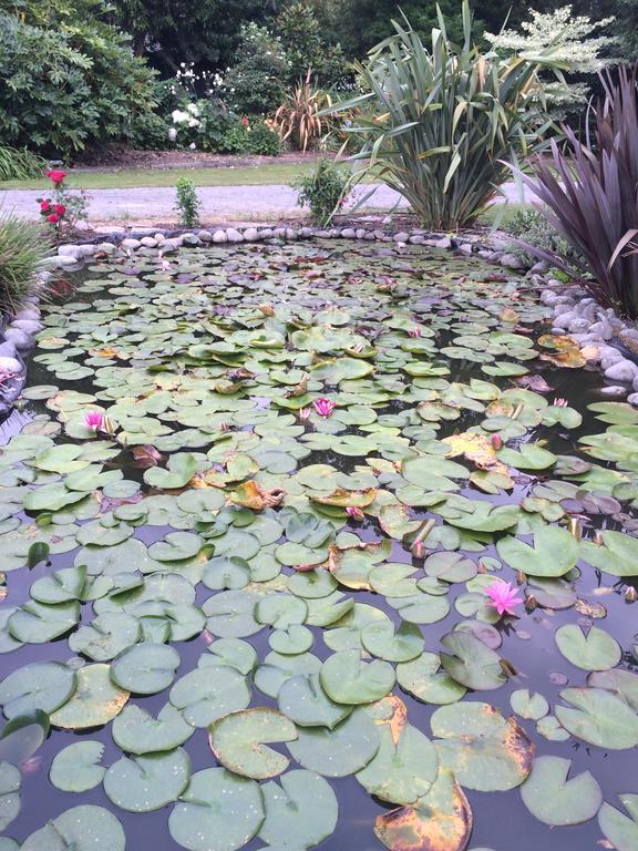 Water Lily Garden Bed & Breakfast Christchurch Eksteriør bilde