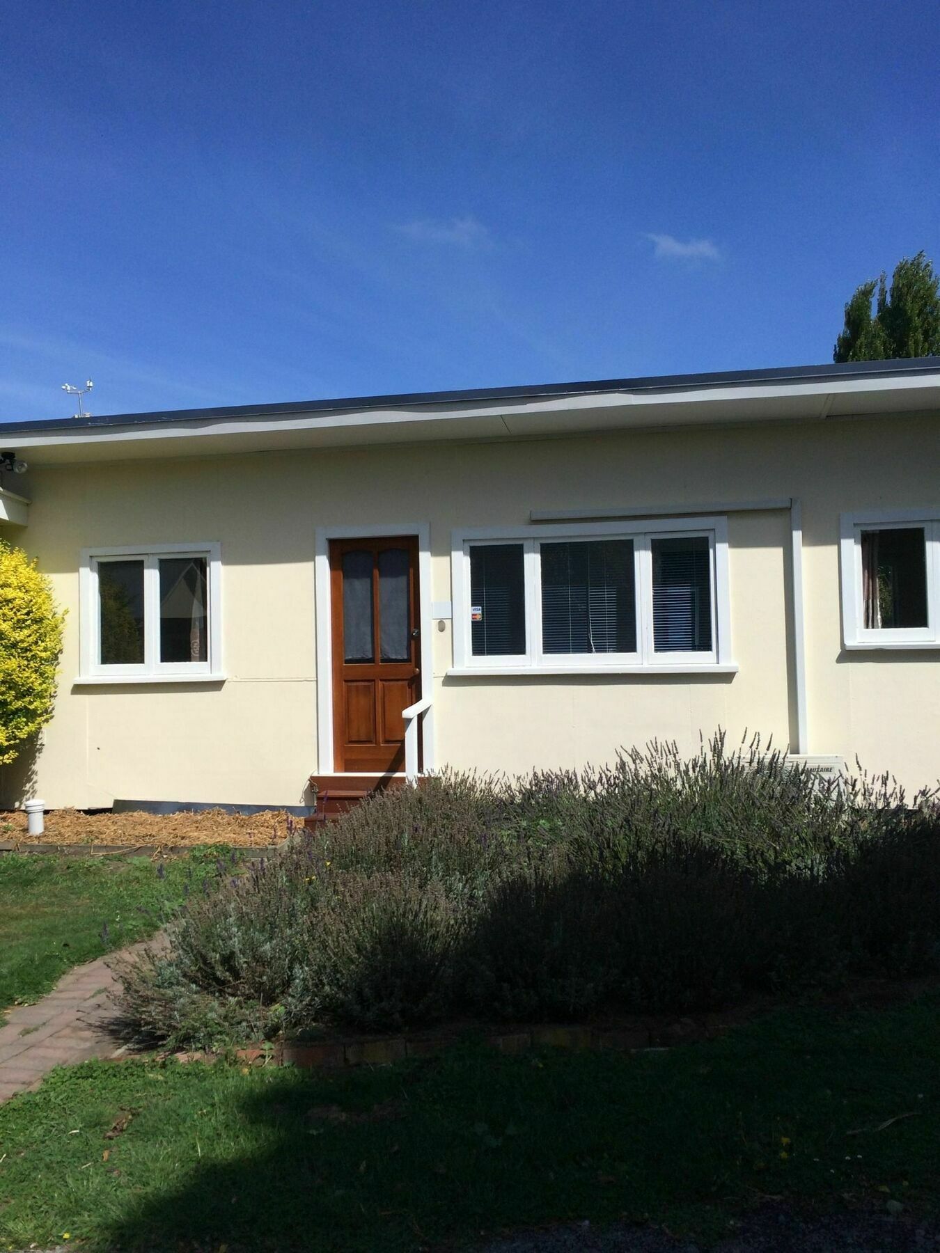 Water Lily Garden Bed & Breakfast Christchurch Eksteriør bilde