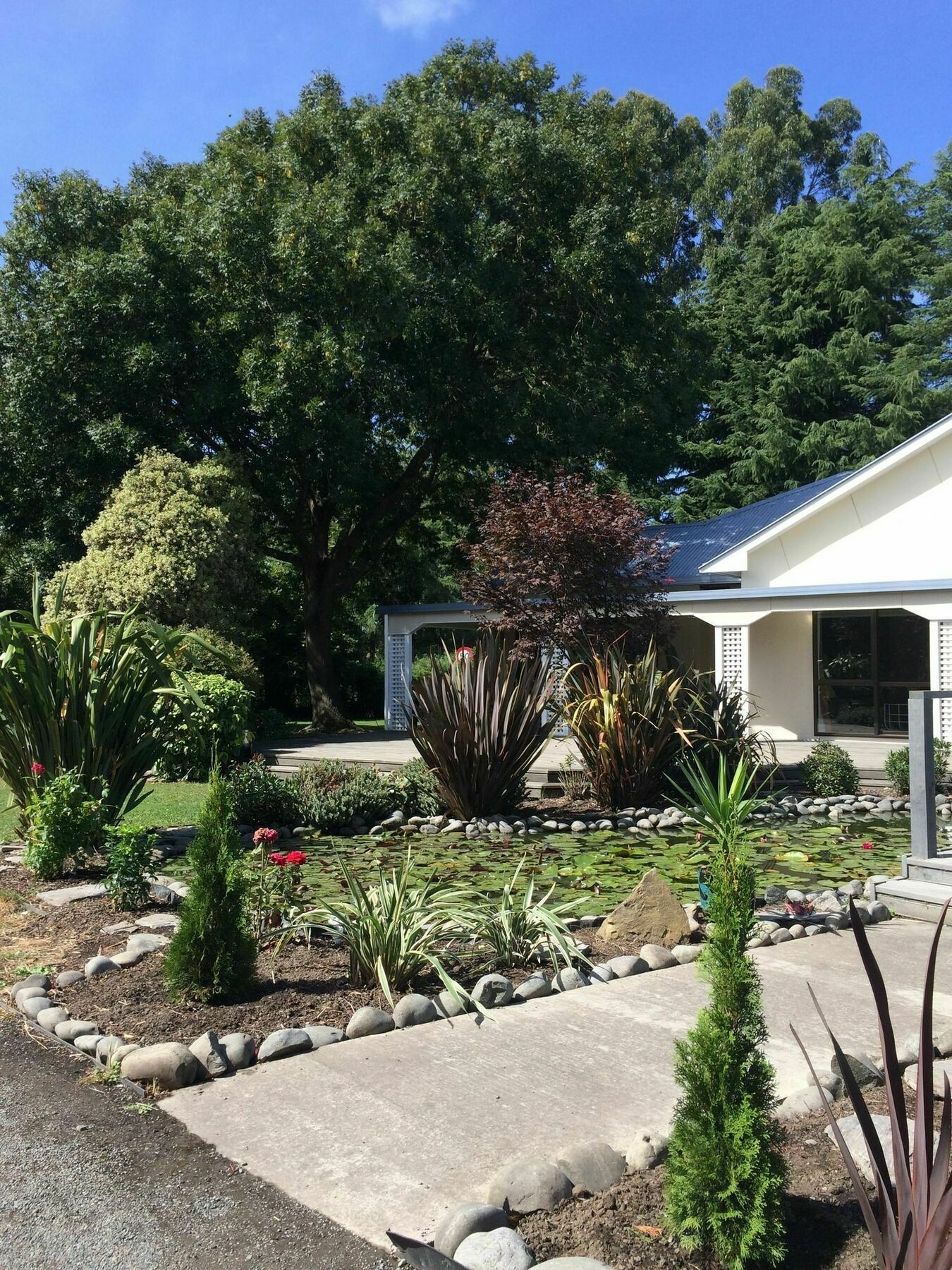 Water Lily Garden Bed & Breakfast Christchurch Eksteriør bilde